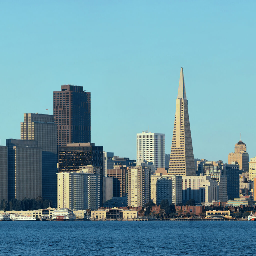 The San Francisco skyline.
